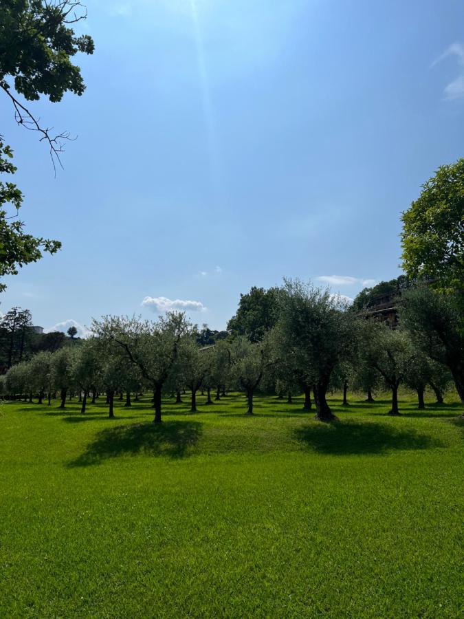 Homely Manerba Manerba del Garda Exterior photo